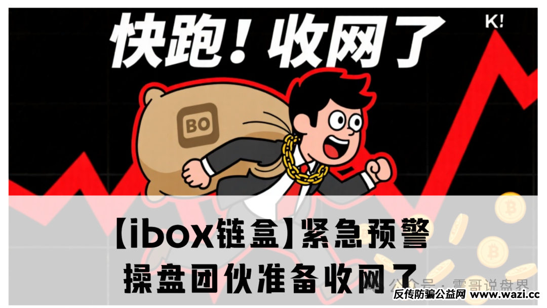 【ibox链盒】紧急预警！操盘团伙准备收网了！维权请准备，震哥律师已就位！