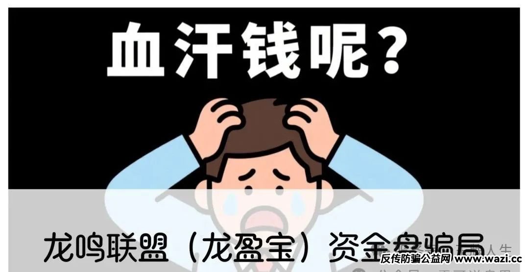 龙鸣联盟（龙盈宝）资金盘骗局，圈钱过亿，高度预警，别被收割