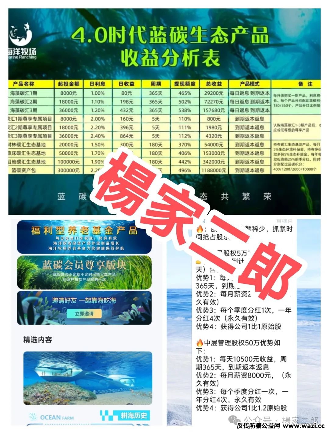深度揭秘:【海洋牧场app】套用国家政策的理财资金盘骗局！