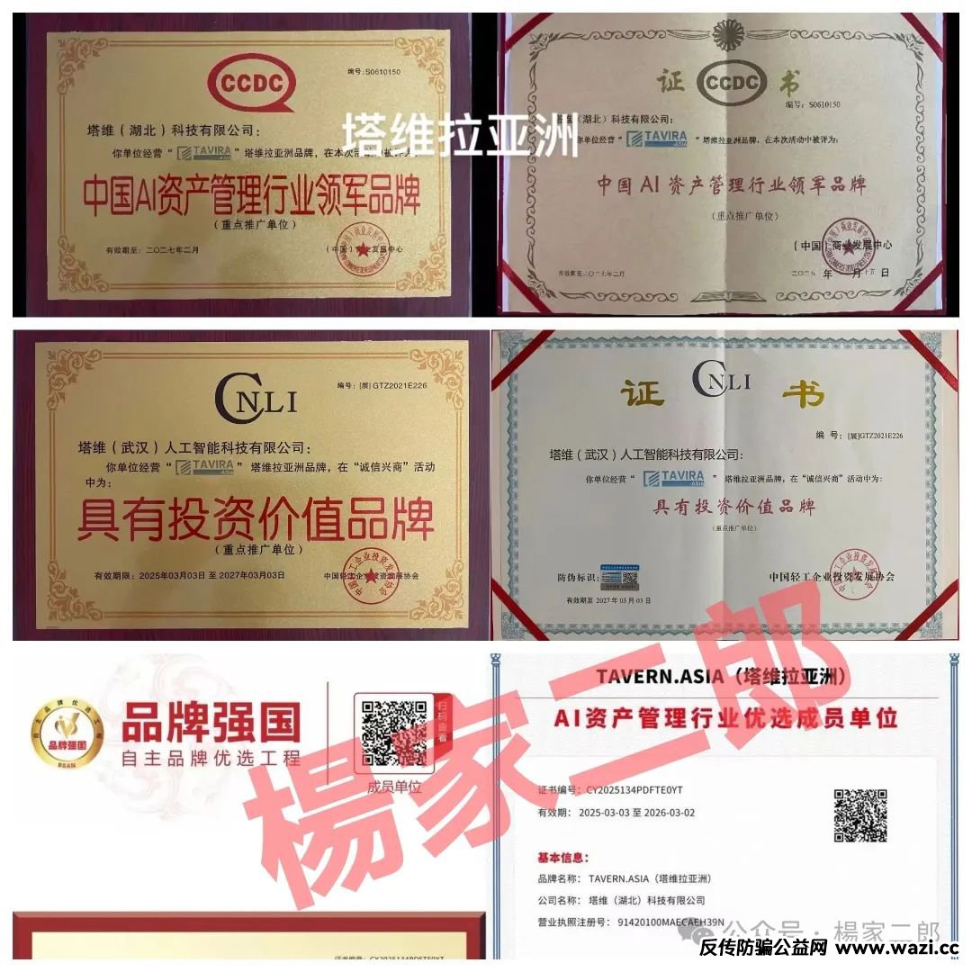 高度预警【塔维拉亚洲（TAVIRA ASIA）】超级短命杀猪盘即将上线！