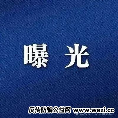 【猎鹰量化】崩盘预警！别当那待宰的“肥鸽”！