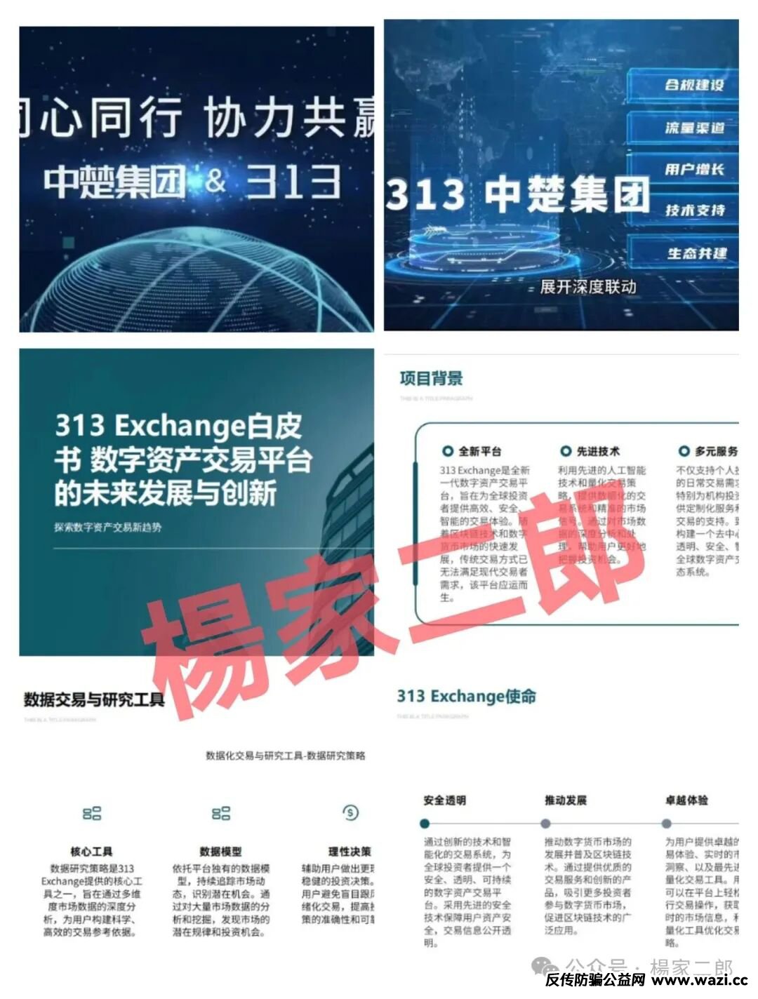 资金盘骗局【中楚集团313交易所】已拔网线彻底凉凉！