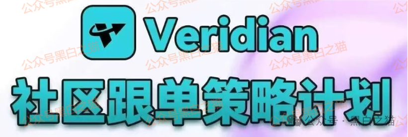 “Veridian 维盛社区”野鸡交易所起盘2个月，单割小团长，痕迹狡兔三窟，国内踪迹一点就破.....