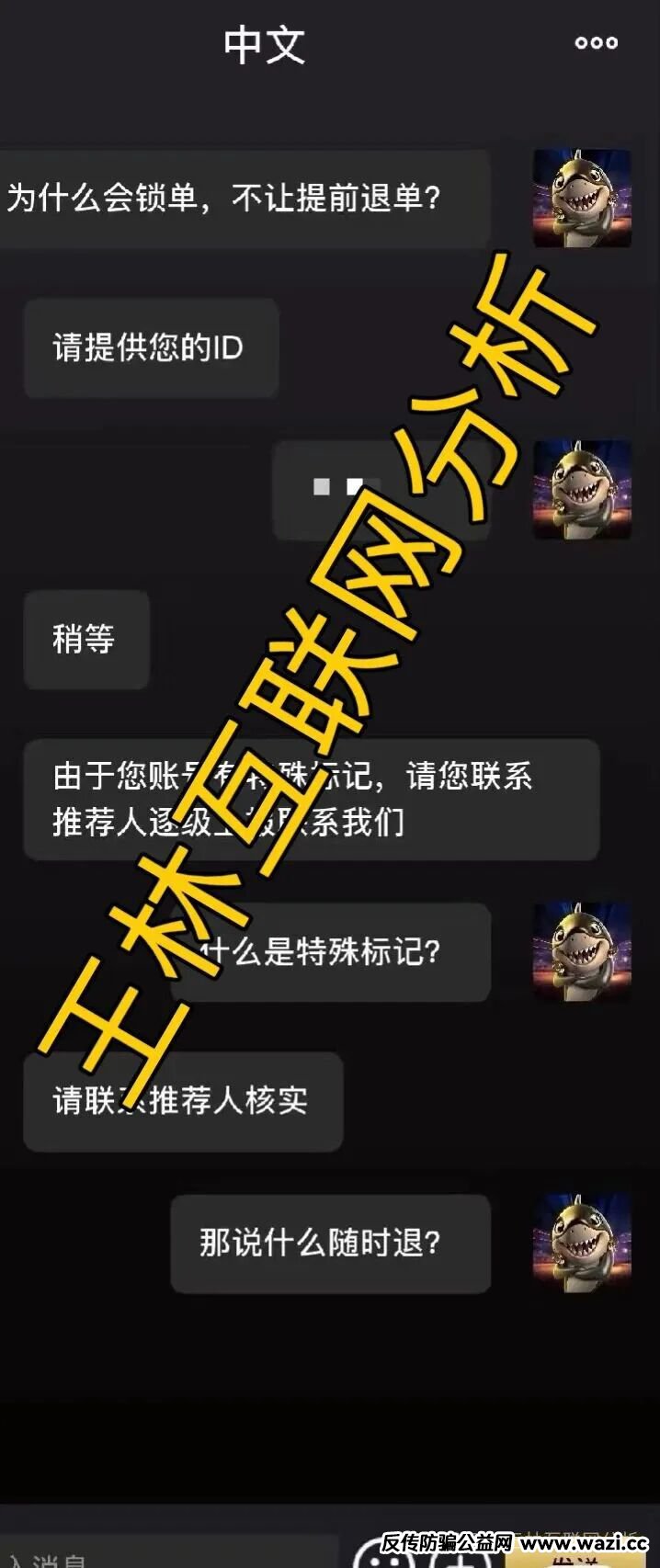 曝光【闪电鲨】是VAX团伙联合中鼎社区闪电鲨开的杀猪盘！