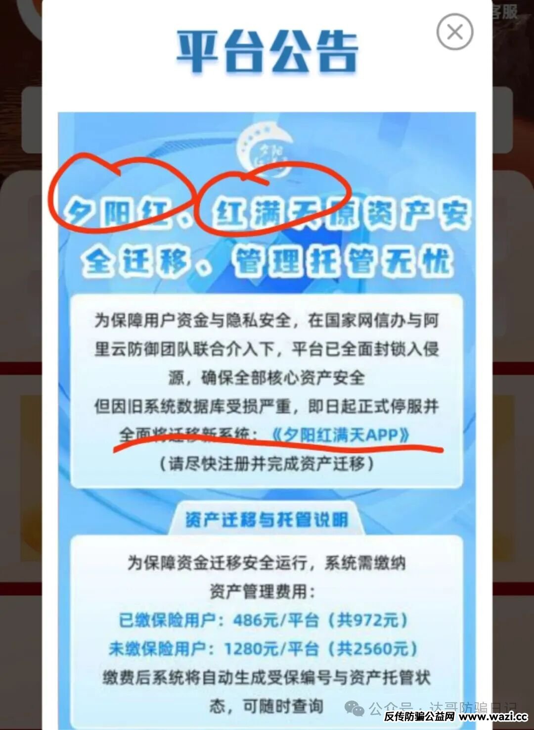 崩盘提醒:【夕阳红满天】资金盘即将收网，操盘手的狂欢，韭菜们的噩梦，及