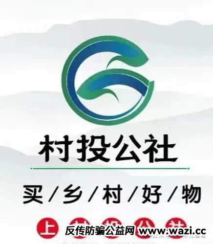 暴雷【村投公社】年化270%的乡村振兴骗局，谁在收割普通人的养老钱？